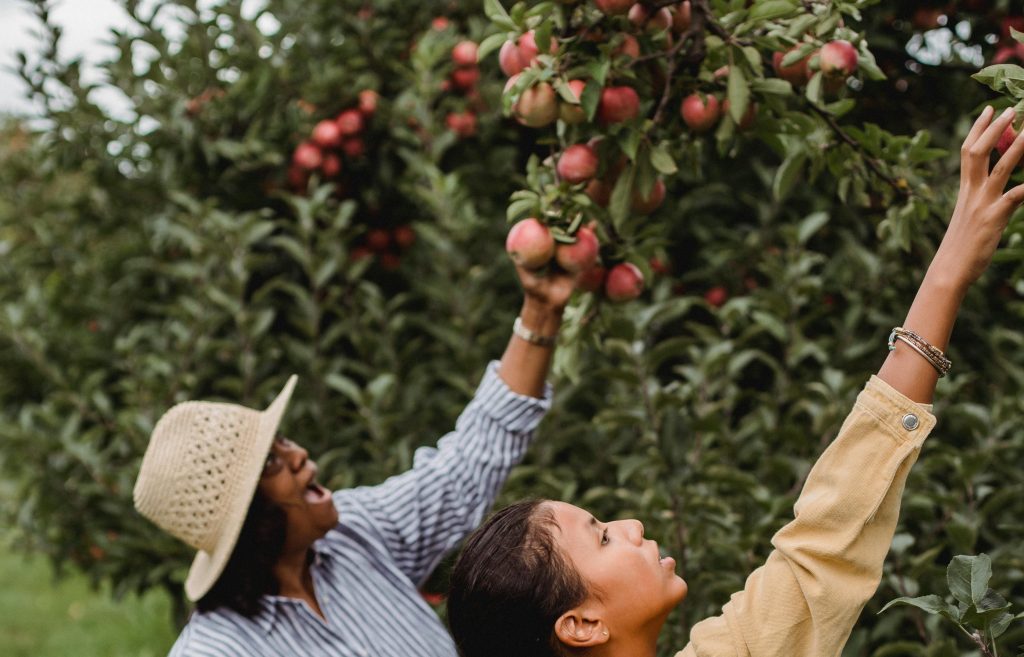 Females are faithful to their seasonal ranges